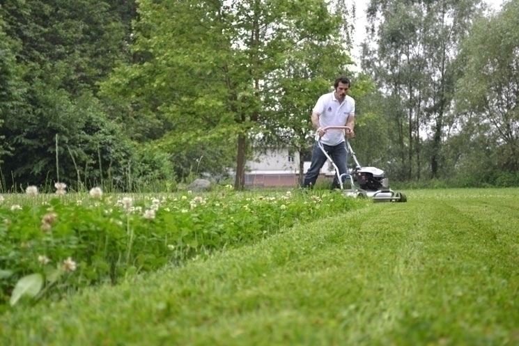 tagliaerba grin per giardino