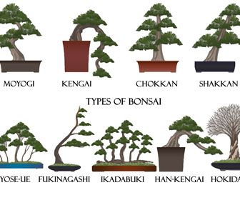 Stili Bonsai