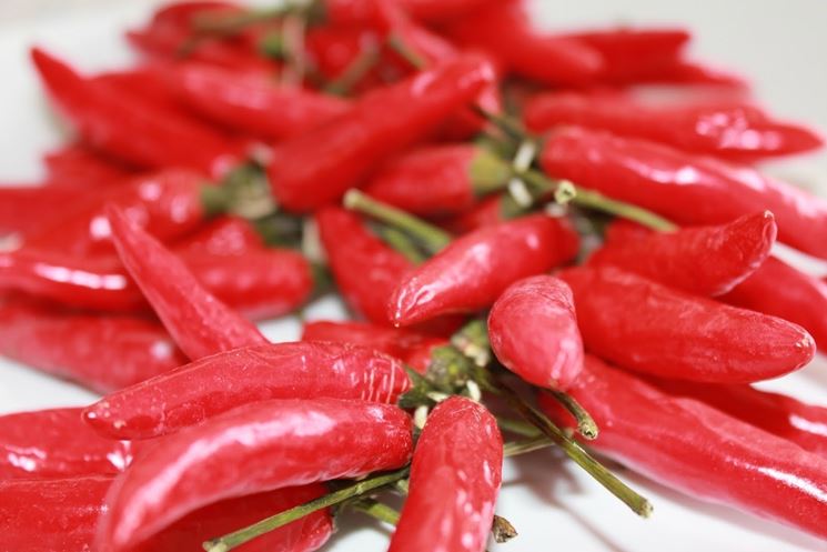 peperoncino