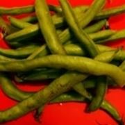 fava pianta