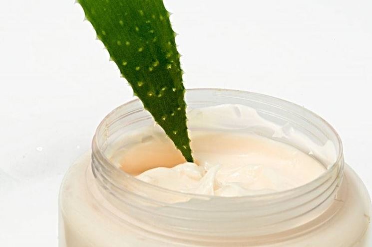 crema aloe