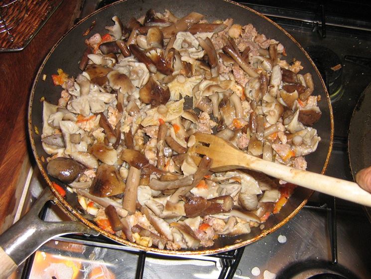 Padellata di funghi chiodini