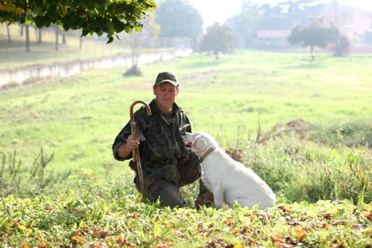 Un trifolao e il suo cane