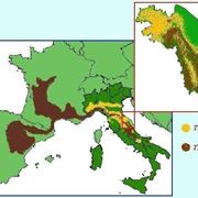 mappa di produzione del Tuber magnatum in Italia