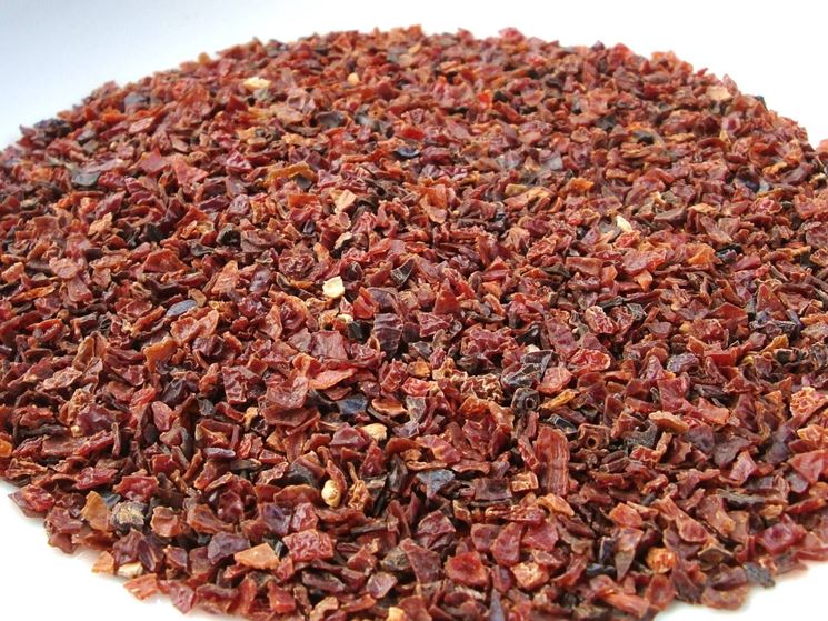 preparato per infuso rosa canina