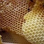 produrre miele