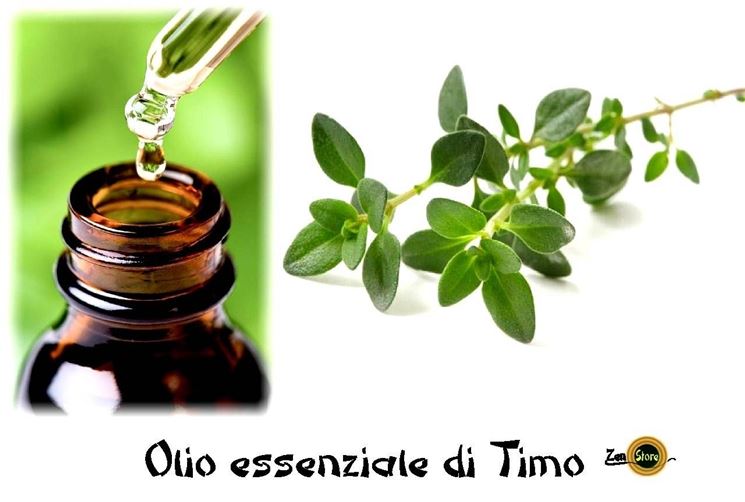 olio essenziale di timo rimedio