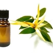 Ylang ylang olio essenziale 