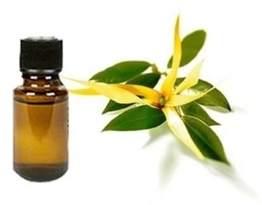 Ylang ylang olio essenziale 