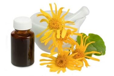 compresse arnica