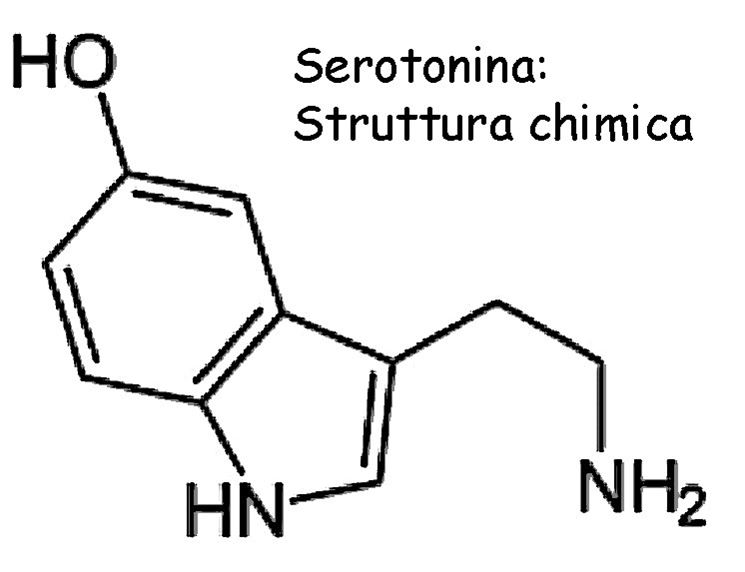 struttura chimica