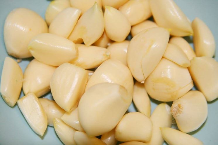 aglio
