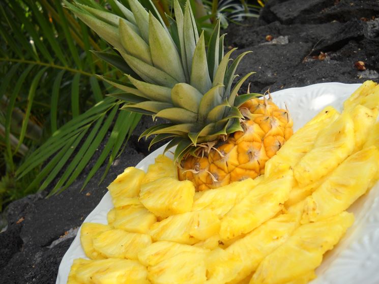 ananas