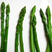 asparago 