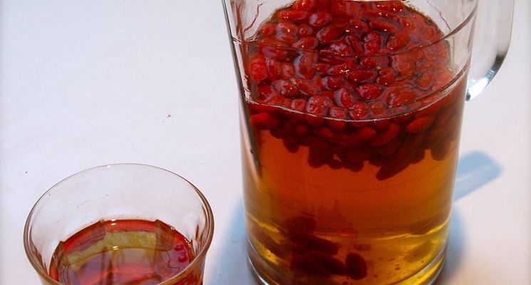 Infuso di bacche di goji