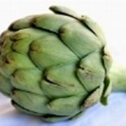 le foglie del carciofo