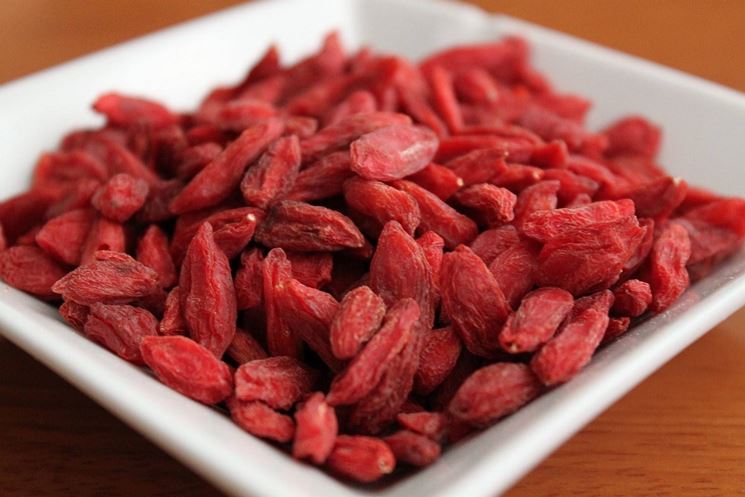 Frutto Goji raccolto