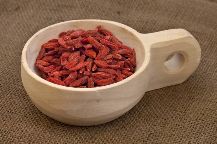 Frutto Goji barattolo