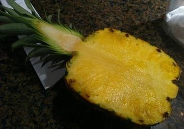gambo di ananas