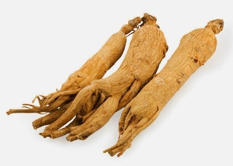 Ginseng