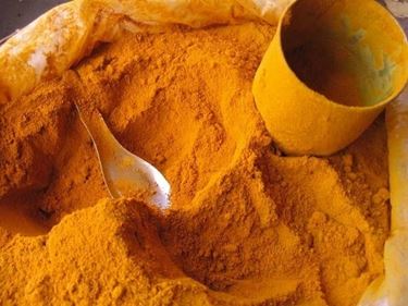 La curcuma in polvere usata come spezia in cucina