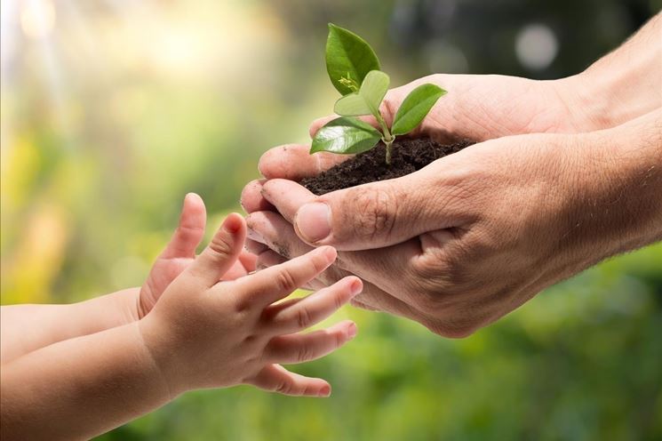 piante per bambini