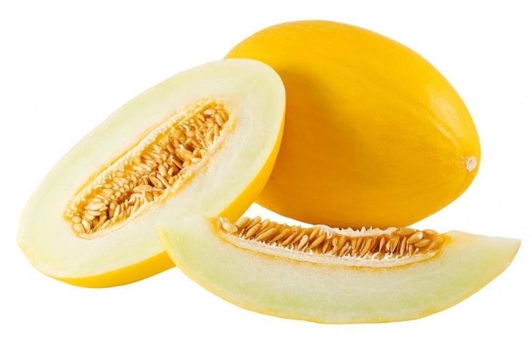 melone giallo