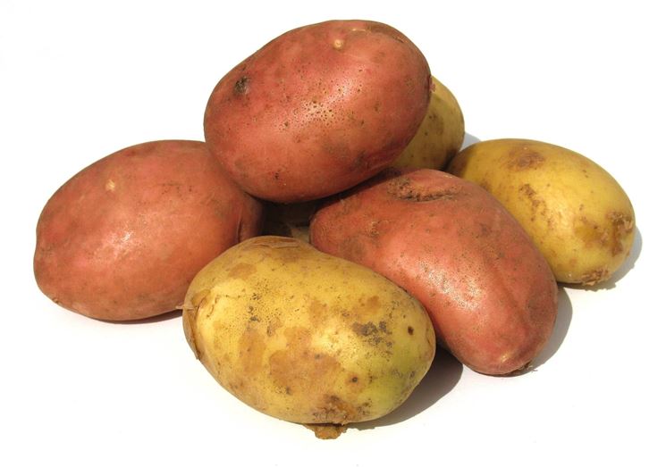 patate