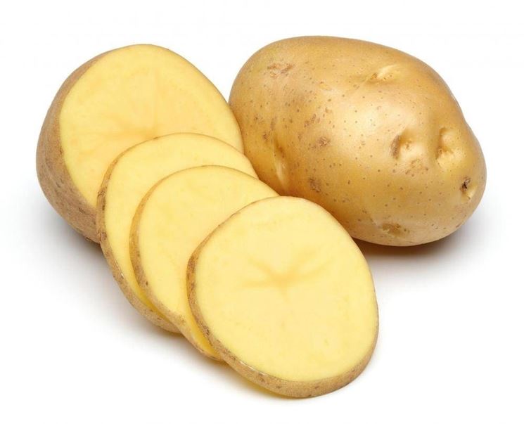 patata