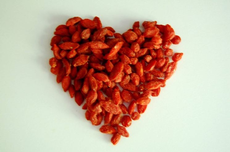 Cuore di Goji Berry