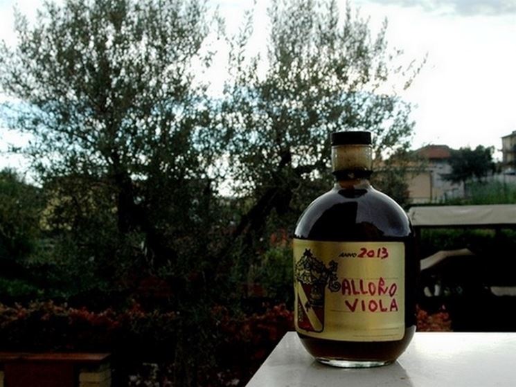 Liquore laurino fatto con le bacche di alloro