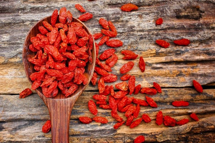 Bacche di Goji secche