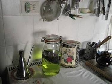 infuso genepi