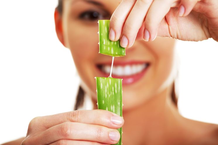 estratto aloe