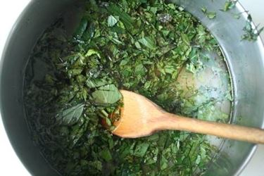 sciroppo menta
