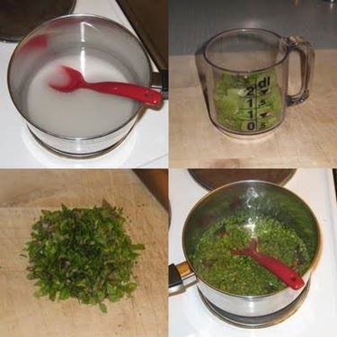 sciroppo menta
