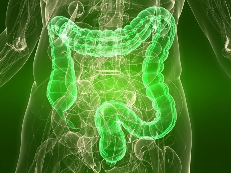 Tra le controindicazioni: i problemi gastrici.