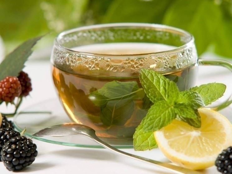 Le tisane depurative sono ottime per l'organismo