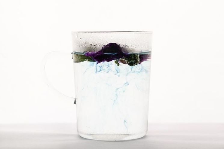 Infusione di fiori in acqua calda