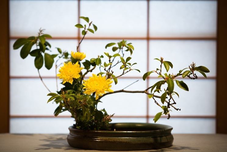 ikebana