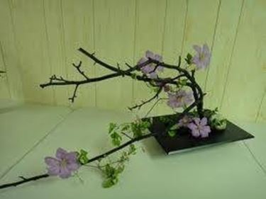 ikebana