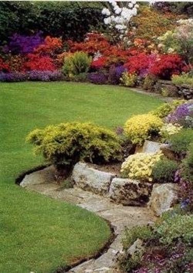 Giardino roccioso composizione fiori Piante perenni per giardino roccioso