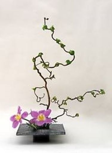 ikebana