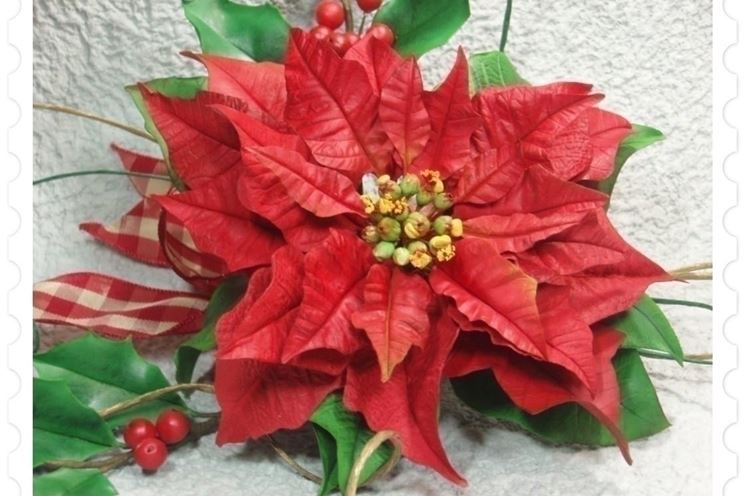 Creare Una Stella Di Natale.Fiori Di Natale Fiori Delle Piante Fiori Periodo Natalizio