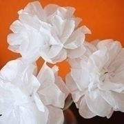 Fare fiori di carta crespa fiori di carta fiori carta Come creare festoni di carta