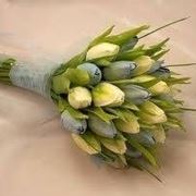 tulipani per matrimonio