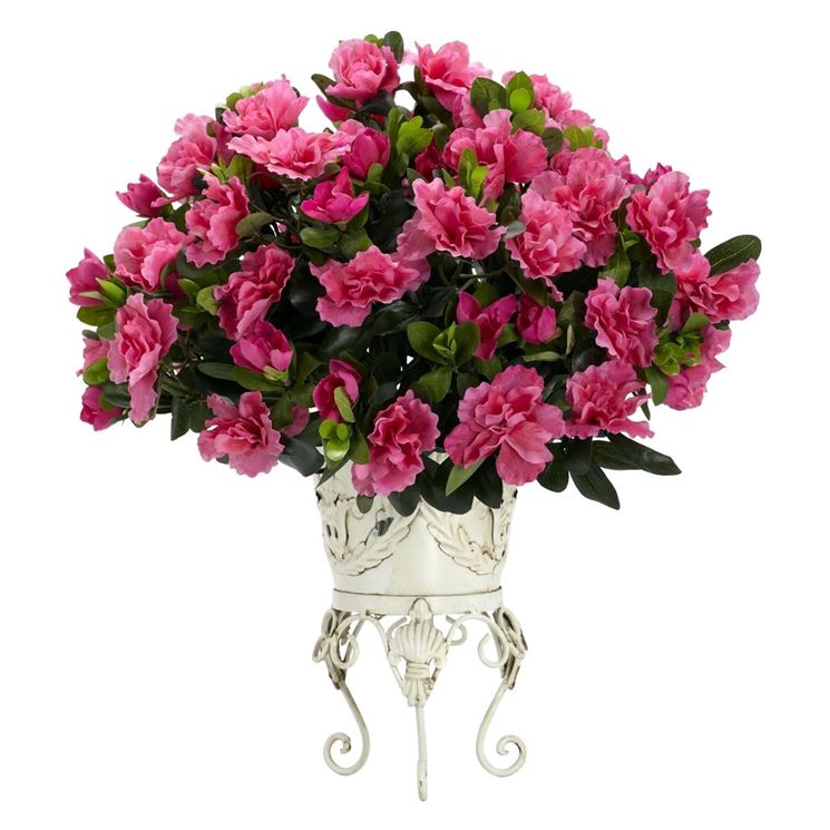 Un bellissimo bouquet di azalee