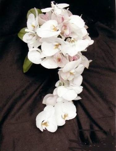 bouquet orchidee