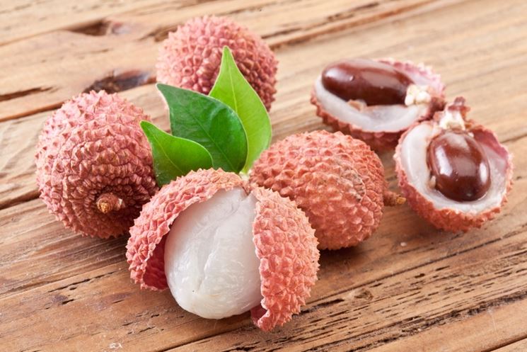 Coltivazione litchi