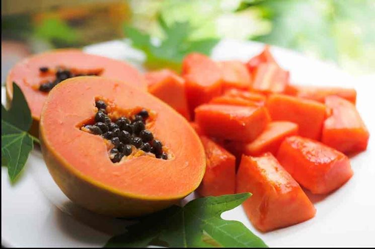 Papaya